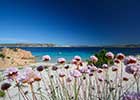 Arcipelago di La Maddalena - Foto di Mauro Coppadoro