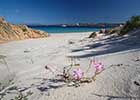 Arcipelago di La Maddalena - Foto di Mauro Coppadoro